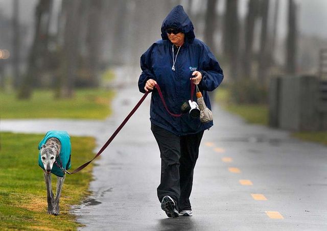 Женщина на прогулке с собакой